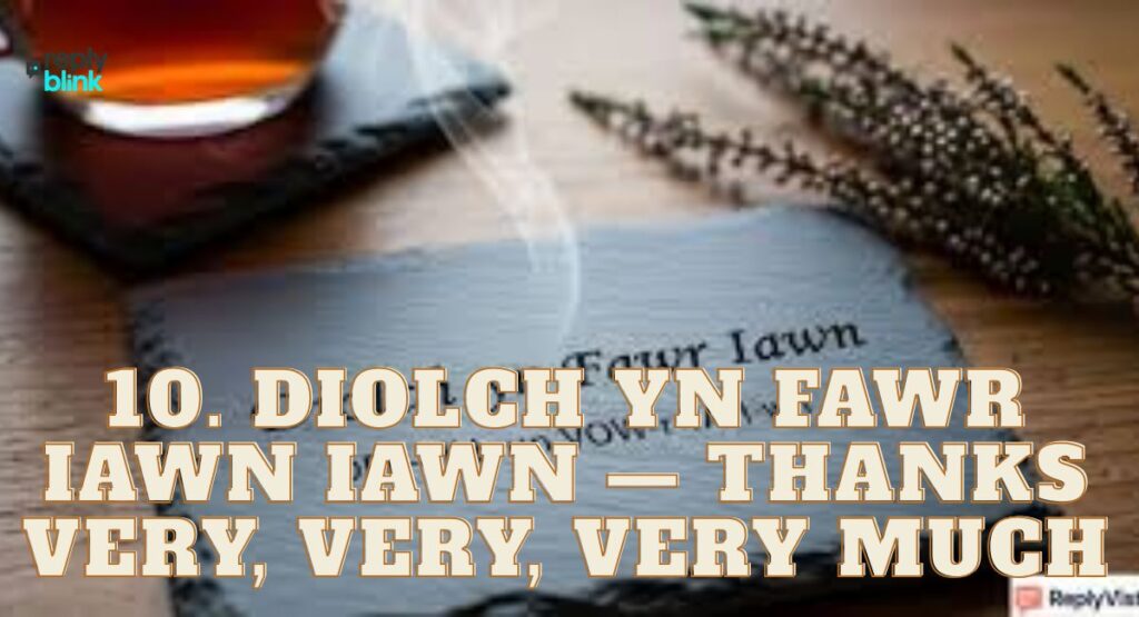 10. Diolch yn Fawr Iawn Iawn — Thanks Very, Very, Very Much